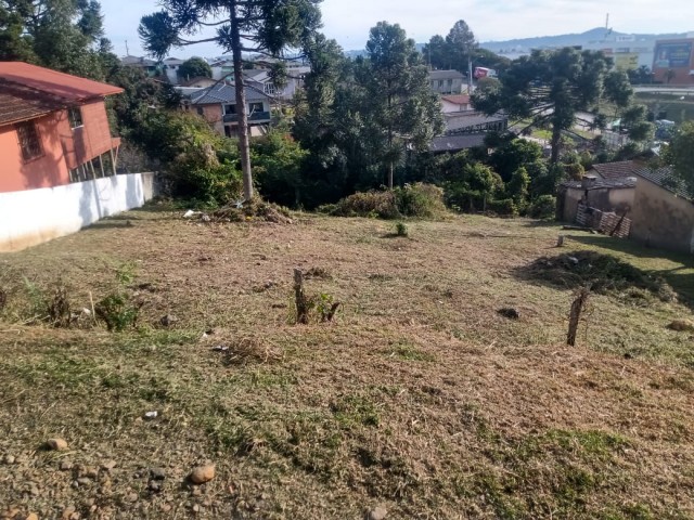 Terreno 1164m²- Vila Mariza 