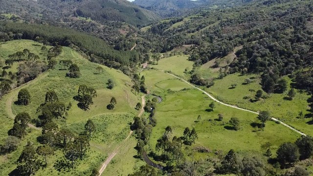 Área Rural 503 hectares- Bocaina do Sul 