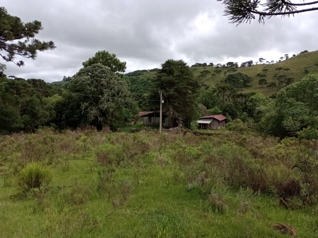 Área rural- Localidade de Morrinhos 