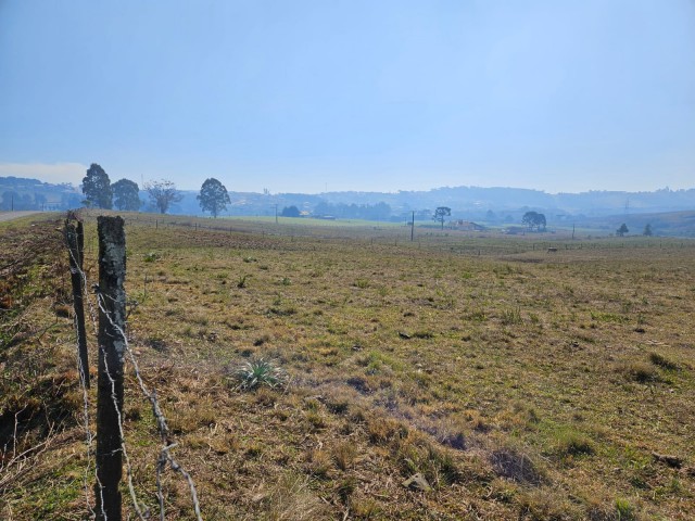 Terreno - Penha