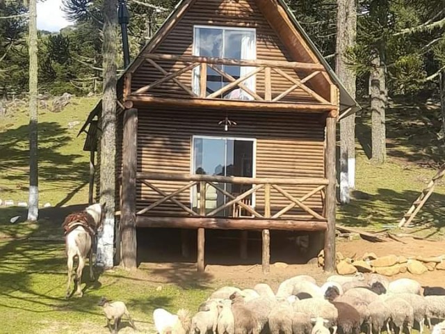 Área Rural- Painel 