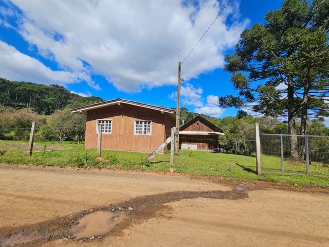 Chácara 3.500m²- Capão Alto 