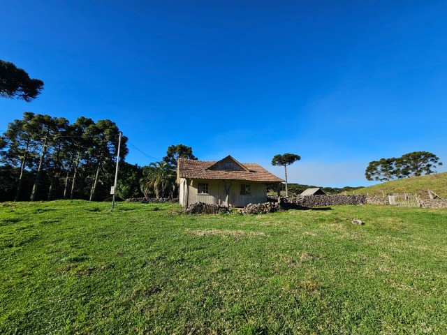 Chácara 52 hectares- Localidade de Raposo