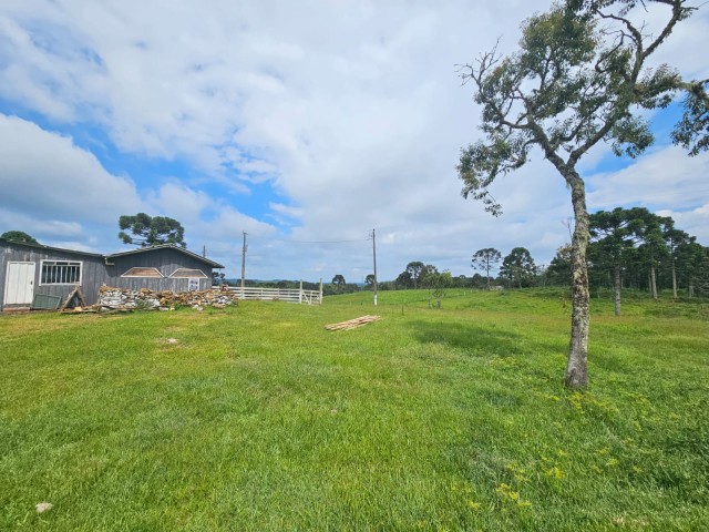 Chácara 5 Hectares- Correia Pinto 